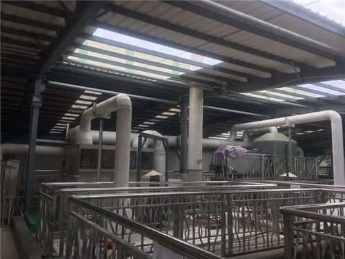 新疆酸洗废气治理工厂服务为先 多图